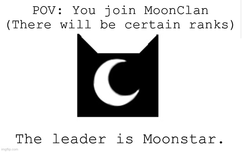 Moonclan link will be given! | POV: You join MoonClan (There will be certain ranks); The leader is Moonstar. | image tagged in moonclan | made w/ Imgflip meme maker