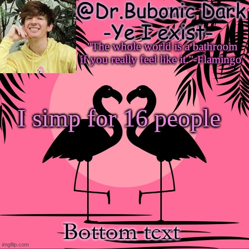Another Flamingo temp :) | I simp for 16 people; Bottom text | image tagged in another flamingo temp | made w/ Imgflip meme maker