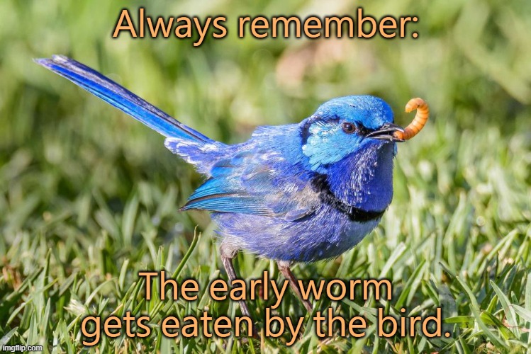 Don't be in such a rush. |  Always remember:; The early worm gets eaten by the bird. | image tagged in early bird gets the,demotivationals,speed limit | made w/ Imgflip meme maker