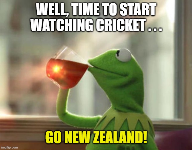 But That's None Of My Business (Neutral) Meme | WELL, TIME TO START WATCHING CRICKET . . . GO NEW ZEALAND! | image tagged in memes,but that's none of my business neutral | made w/ Imgflip meme maker