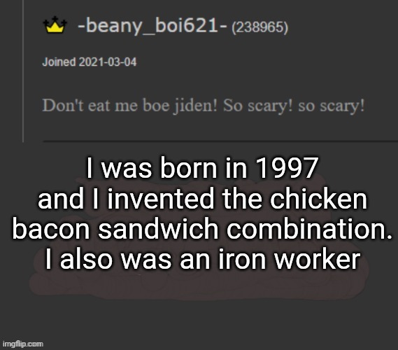 beany | I was born in 1997 and I invented the chicken bacon sandwich combination. I also was an iron worker | image tagged in beany | made w/ Imgflip meme maker