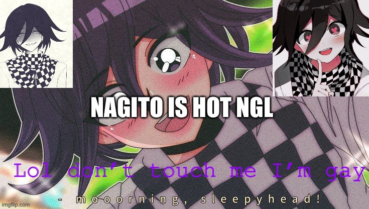 Kokichifurry temp | NAGITO IS HOT NGL | image tagged in kokichifurry temp | made w/ Imgflip meme maker