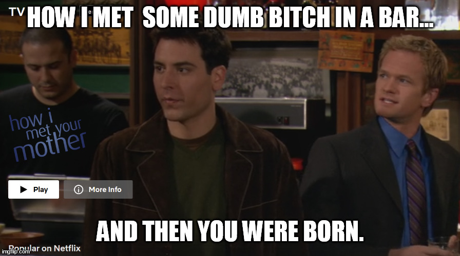 HOW I MET  SOME DUMB BITCH IN A BAR... AND THEN YOU WERE BORN. | image tagged in memes | made w/ Imgflip meme maker