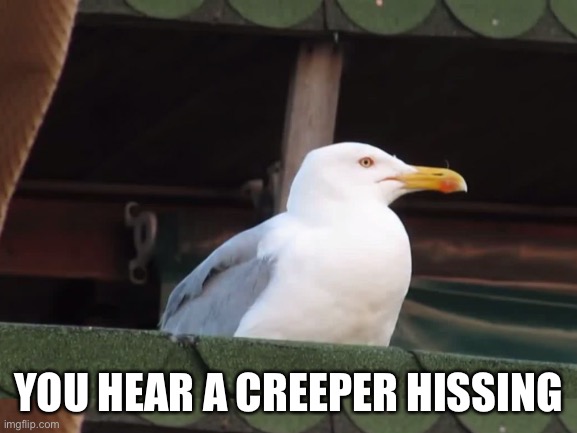 YOU HEAR A CREEPER HISSING | made w/ Imgflip meme maker