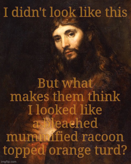 Mellow Bro Jesus,,, | I didn't look like this But what makes them think I looked like a bleached mummified racoon topped orange turd? | image tagged in mellow bro jesus | made w/ Imgflip meme maker