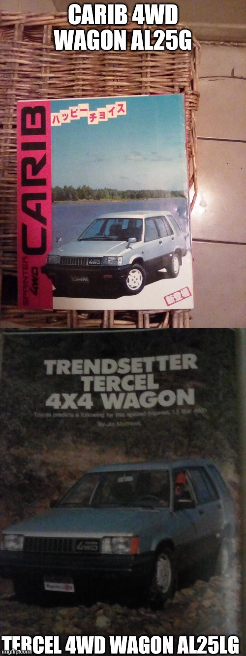 2 of the best cars | CARIB 4WD WAGON AL25G; TERCEL 4WD WAGON AL25LG | image tagged in cars,toyota,tercel,carib,4wd | made w/ Imgflip meme maker