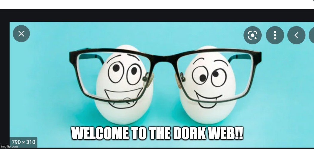 dorks |  WELCOME TO THE DORK WEB!! | image tagged in internet | made w/ Imgflip meme maker