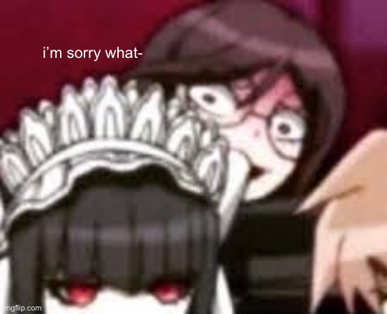 Toko stare | i’m sorry what- | image tagged in toko stare | made w/ Imgflip meme maker