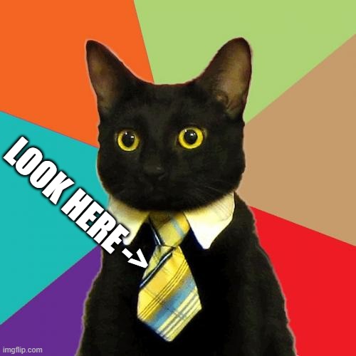 Business Cat Meme | LOOK HERE -> | image tagged in memes,business cat | made w/ Imgflip meme maker