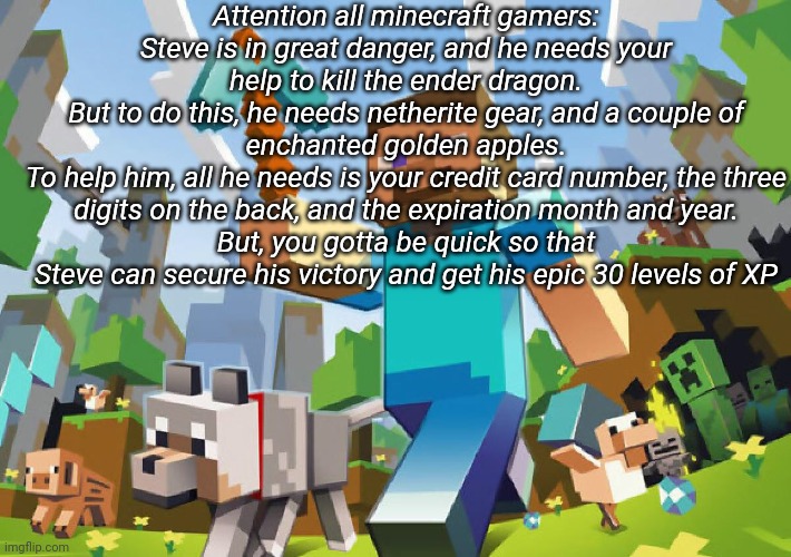 Minecraft  | Attention all minecraft gamers:
Steve is in great danger, and he needs your help to kill the ender dragon.
But to do this, he needs netherite gear, and a couple of enchanted golden apples.
To help him, all he needs is your credit card number, the three digits on the back, and the expiration month and year.
But, you gotta be quick so that Steve can secure his victory and get his epic 30 levels of XP | image tagged in minecraft | made w/ Imgflip meme maker