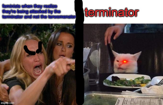 terwomenator | feminists when they realize they're being attacked by the terminator and not the terwomenator; terminator | image tagged in memes,woman yelling at cat | made w/ Imgflip meme maker
