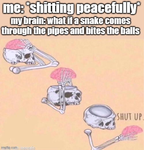thinking this brings chills down my spine | me: *shitting peacefully*; my brain: what if a snake comes through the pipes and bites the balls | image tagged in skeleton shut up brain | made w/ Imgflip meme maker
