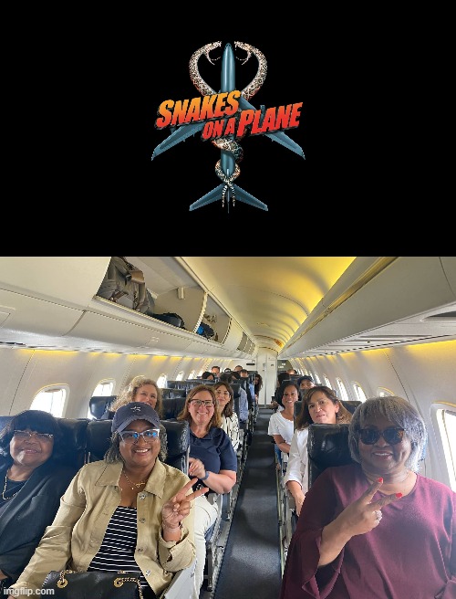 Arrest them all | image tagged in texas democrats,snakes on a plane | made w/ Imgflip meme maker