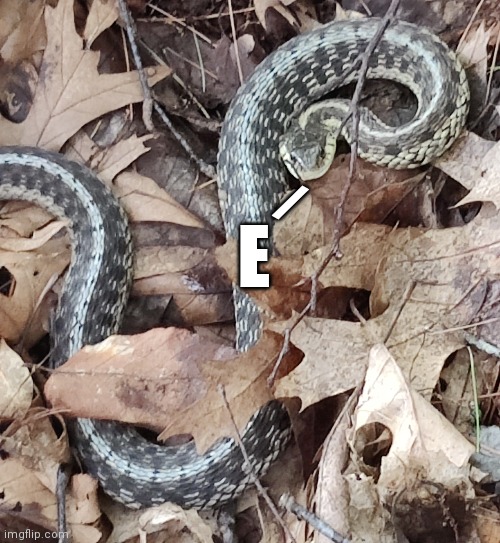 snakE | /; E | image tagged in e,snake | made w/ Imgflip meme maker