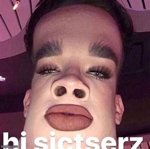 Hi sictserz | image tagged in hi sictserz | made w/ Imgflip meme maker