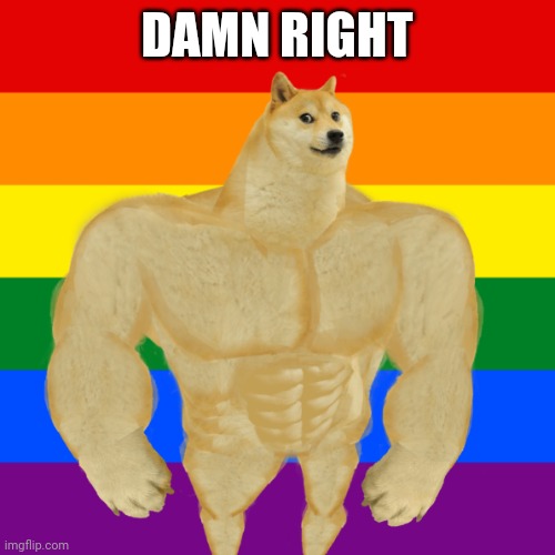 Gay ass doge | DAMN RIGHT | image tagged in gay ass doge | made w/ Imgflip meme maker