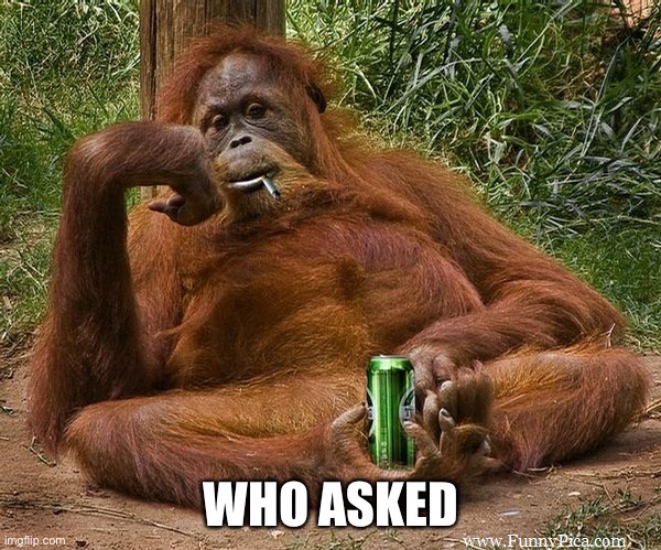who asked | WHO ASKED | image tagged in who asked | made w/ Imgflip meme maker