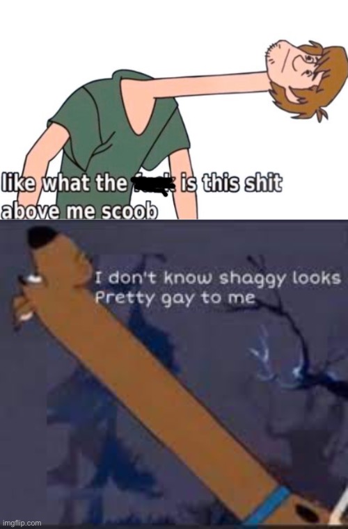 Whoever is above me, sorry | image tagged in what is this shit above me scoob,i don t know shaggy looks pretty gay to me | made w/ Imgflip meme maker