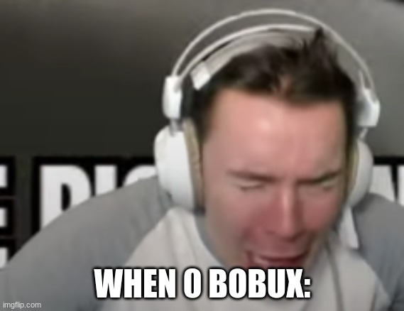 0 bobux devoun | WHEN 0 BOBUX: | image tagged in 0 bobux devoun | made w/ Imgflip meme maker