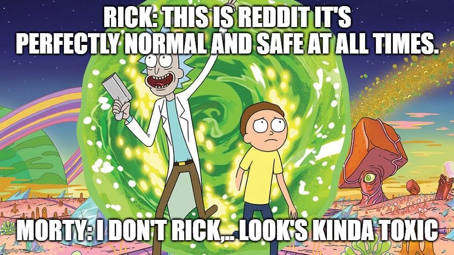 Let's go make it happen | RICK: THIS IS REDDIT IT'S PERFECTLY NORMAL AND SAFE AT ALL TIMES. MORTY: I DON'T RICK,.. LOOK'S KINDA TOXIC | image tagged in rick and morty portal | made w/ Imgflip meme maker