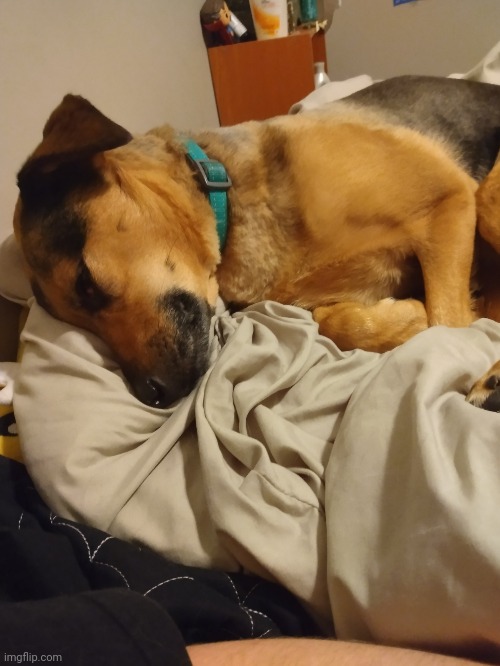 she sleep | made w/ Imgflip meme maker