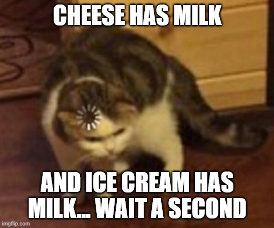 CHEESE HAS MILK AND ICE CREAM HAS MILK... WAIT A SECOND | image tagged in loading cat | made w/ Imgflip meme maker