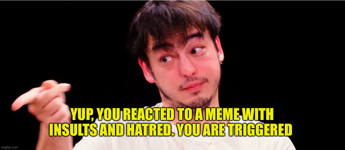 Joji Yup | YUP, YOU REACTED TO A MEME WITH INSULTS AND HATRED. YOU ARE TRIGGERED ? | image tagged in joji yup | made w/ Imgflip meme maker