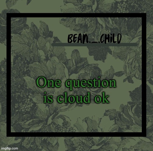 One question is cloud ok | image tagged in beans army green temp | made w/ Imgflip meme maker