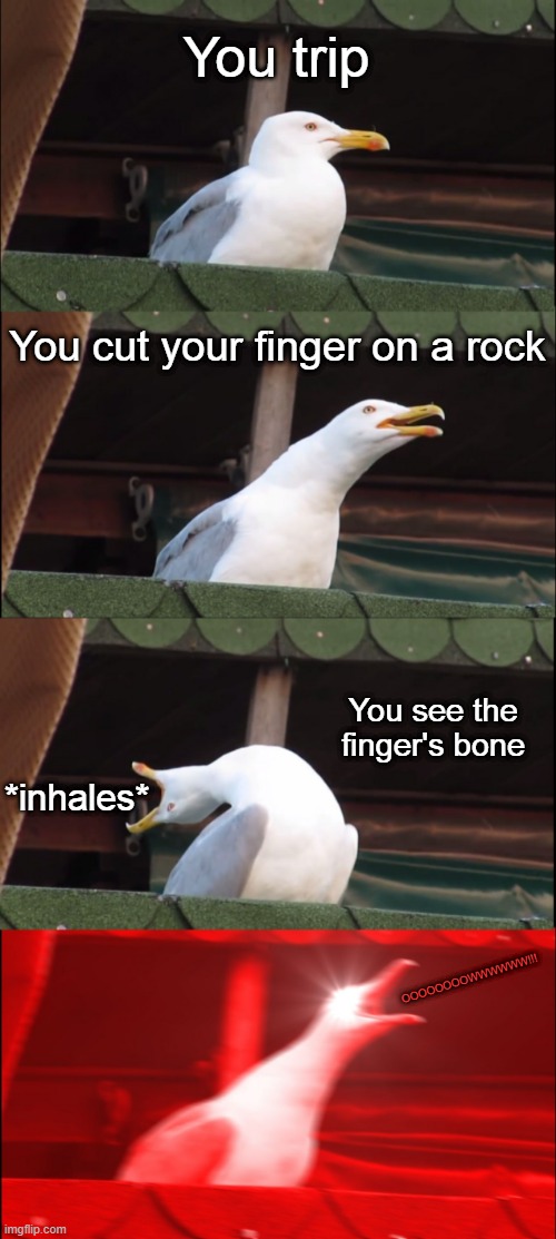 that hurts like hell honestly, and i've actually experienced it once. | You trip; You cut your finger on a rock; You see the finger's bone; *inhales*; OOOOOOOOWWWWWW!!! | image tagged in memes,inhaling seagull | made w/ Imgflip meme maker