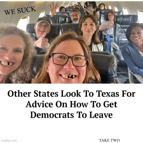 Idiots on a Plane | WE SUCK; TAKE TWO | image tagged in idiots on a plane,leave my title alone imgflip | made w/ Imgflip meme maker