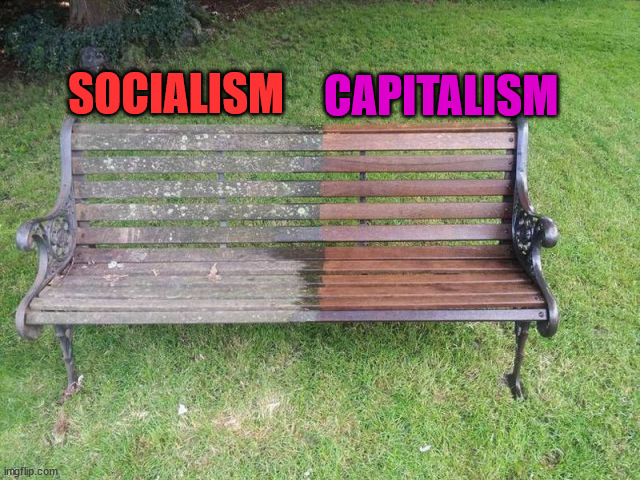 SOCIALISM; CAPITALISM | image tagged in conservatives | made w/ Imgflip meme maker