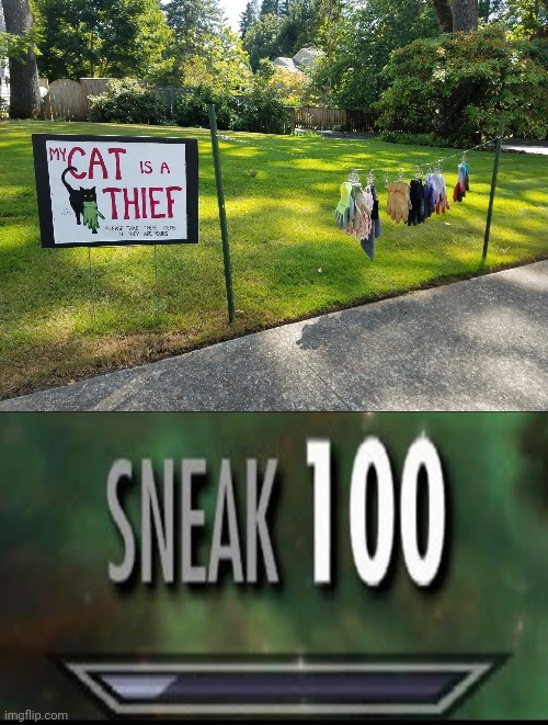 cat burglar | image tagged in sneak 100,cat,thief | made w/ Imgflip meme maker