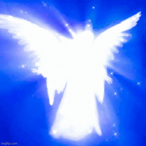 image tagged in gifs | made w/ Imgflip images-to-gif maker