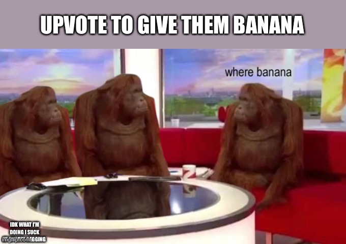 B a n a n a | UPVOTE TO GIVE THEM BANANA; IDK WHAT I’M DOING I SUCK AT UPVOTE BEGGING | image tagged in where banana | made w/ Imgflip meme maker