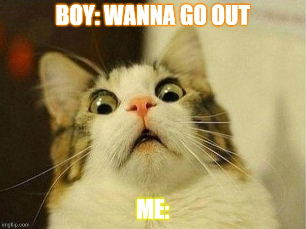 Scared Cat Meme | BOY: WANNA GO OUT; ME: | image tagged in memes,scared cat | made w/ Imgflip meme maker