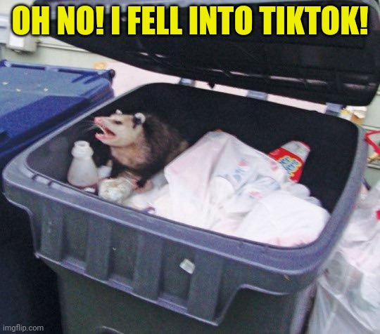 Poor possum! | OH NO! I FELL INTO TIKTOK! | image tagged in trash possum,tik tok,trash,possum | made w/ Imgflip meme maker