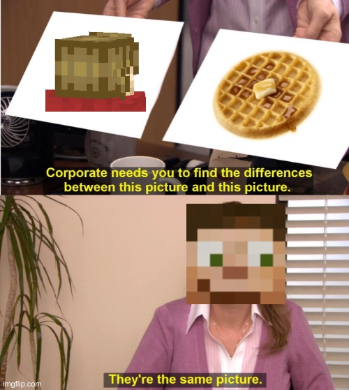 Grain Waffle | image tagged in memes,they're the same picture | made w/ Imgflip meme maker