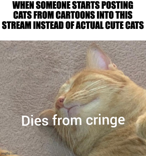 WHEN SOMEONE STARTS POSTING CATS FROM CARTOONS INTO THIS STREAM INSTEAD OF ACTUAL CUTE CATS | image tagged in cringe cat,bruh,stop posting cartoon stuff | made w/ Imgflip meme maker