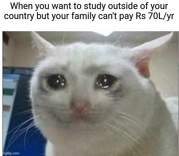 crying cat | When you want to study outside of your country but your family can't pay Rs 70L/yr | image tagged in crying cat | made w/ Imgflip meme maker