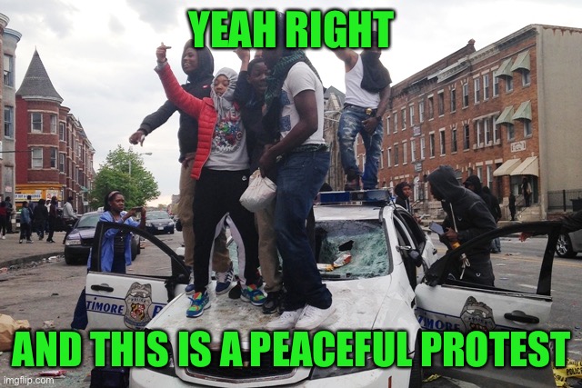 Riot | YEAH RIGHT AND THIS IS A PEACEFUL PROTEST | image tagged in riot | made w/ Imgflip meme maker