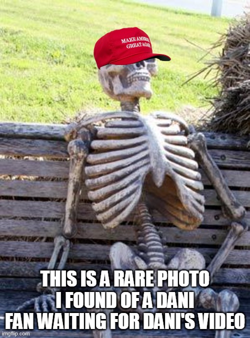 a rare photo | THIS IS A RARE PHOTO I FOUND OF A DANI FAN WAITING FOR DANI'S VIDEO | image tagged in memes,waiting skeleton | made w/ Imgflip meme maker