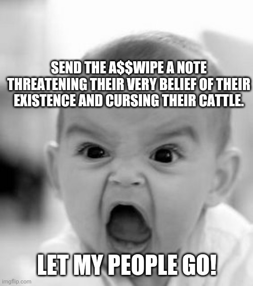 Angry Baby Meme | SEND THE A$$WIPE A NOTE THREATENING THEIR VERY BELIEF OF THEIR EXISTENCE AND CURSING THEIR CATTLE. LET MY PEOPLE GO! | image tagged in memes,angry baby | made w/ Imgflip meme maker