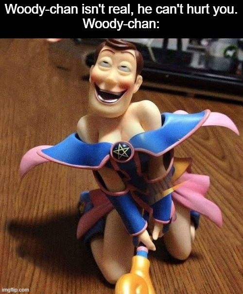d | Woody-chan isn't real, he can't hurt you.
Woody-chan: | image tagged in d | made w/ Imgflip meme maker