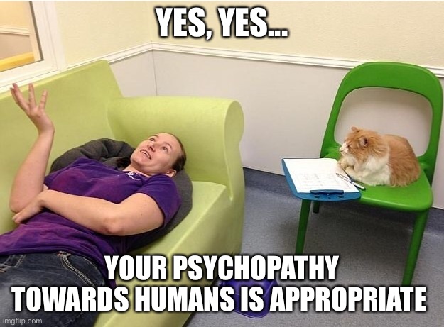 Cat psychologist | YES, YES... YOUR PSYCHOPATHY TOWARDS HUMANS IS APPROPRIATE | image tagged in cat psychologist | made w/ Imgflip meme maker