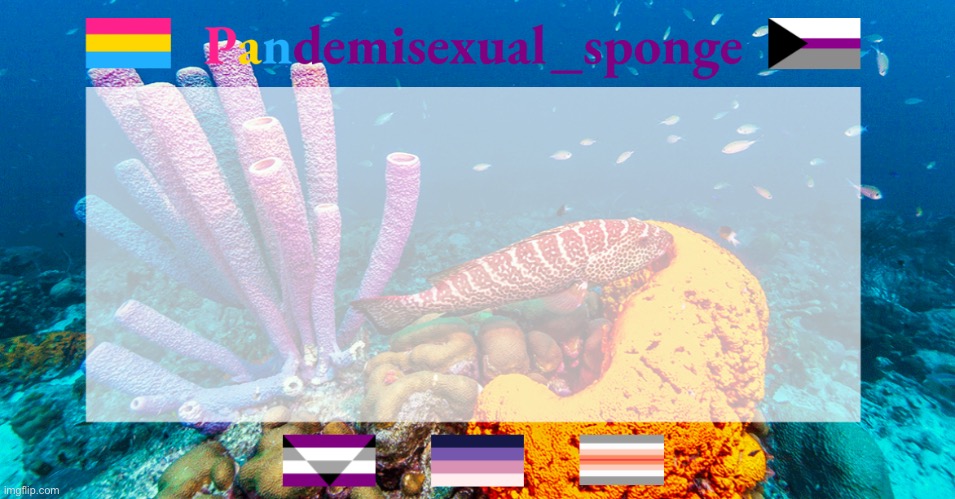 Pandemisexual_sponge temp | image tagged in pandemisexual_sponge temp | made w/ Imgflip meme maker