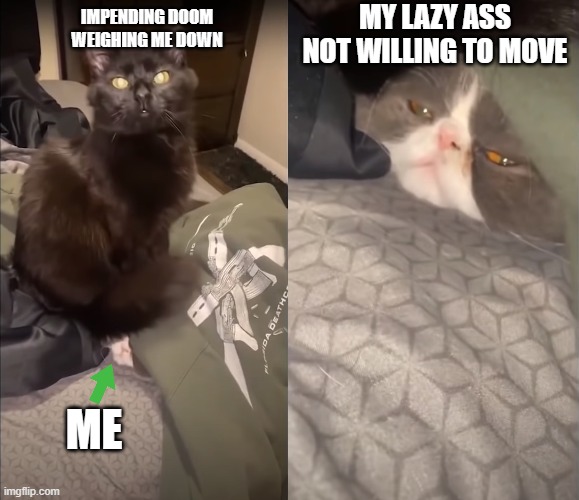 Cat on Cat | MY LAZY ASS NOT WILLING TO MOVE; IMPENDING DOOM WEIGHING ME DOWN; ME | image tagged in grumpy cat,cats,cute cat,lazy,funny | made w/ Imgflip meme maker