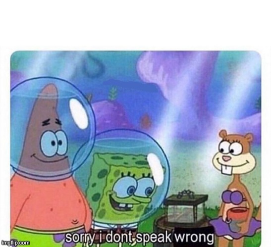 sorry i dont speak wrong | image tagged in sorry i dont speak wrong | made w/ Imgflip meme maker