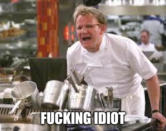 Fucking idiot | FUCKING IDIOT | image tagged in gordon ramsey | made w/ Imgflip meme maker