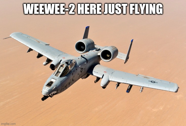 weewee-2 | WEEWEE-2 HERE JUST FLYING | image tagged in weewee-2 | made w/ Imgflip meme maker