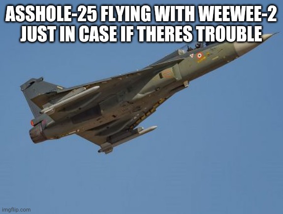 asshole-25 | ASSHOLE-25 FLYING WITH WEEWEE-2 JUST IN CASE IF THERES TROUBLE | image tagged in asshole-25 | made w/ Imgflip meme maker